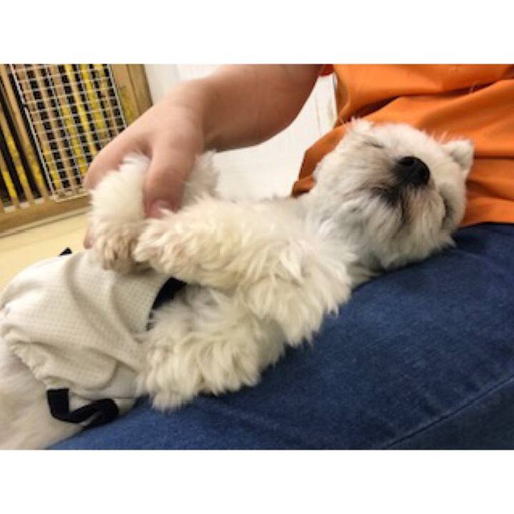 0797c58b 5418 423a 8119 d112ee7a70c3 1539860093858