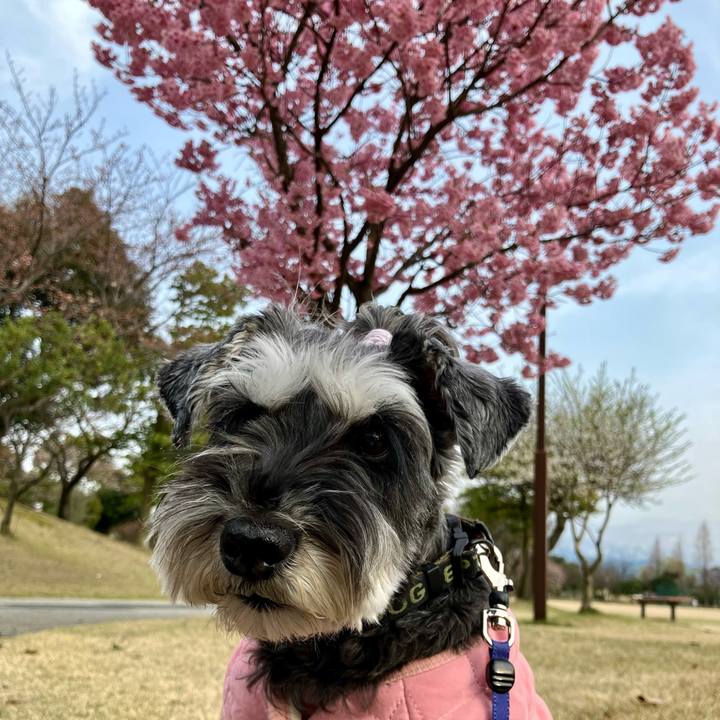 0797daee 687c 4941 ba26 be06a081eb6c 1712842131511