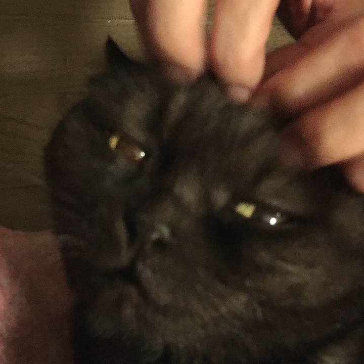 07983a54 9b4a 439d 9b64 0e1815279201 1537525603496