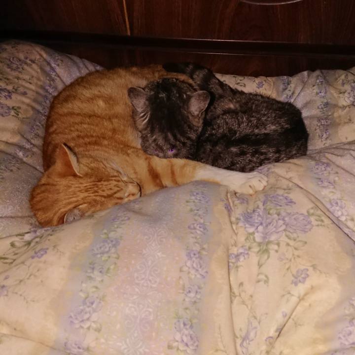 07983cc7 9e7e 4499 9673 4cd371d2aa62 1578767463274