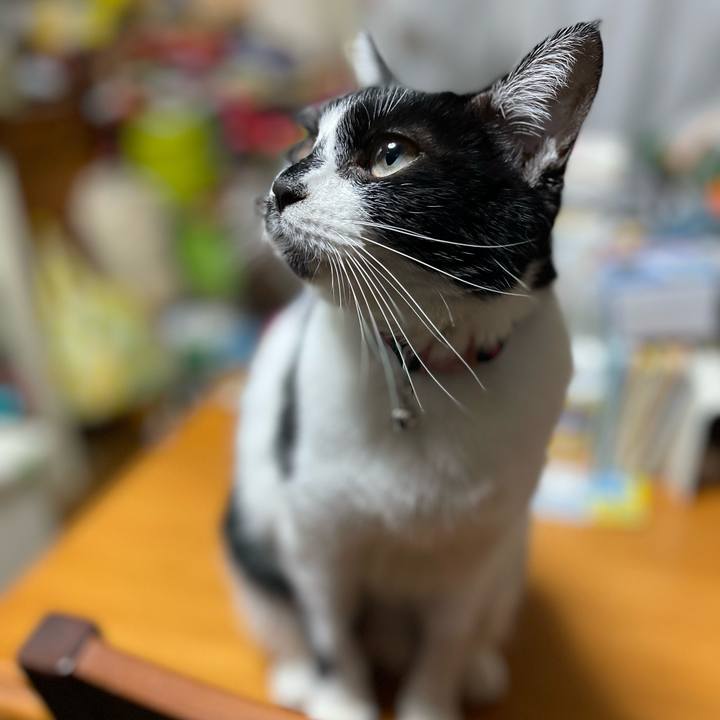 079852aa 94d6 47e0 8344 db3cdd9ee6d5 1763812857731