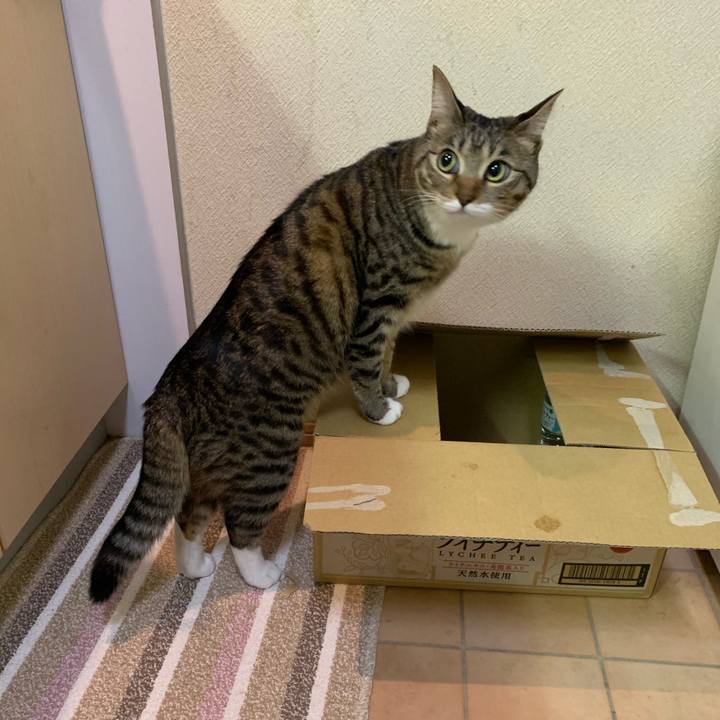 0798789a 883f 4bde ad4f e14891d406ab 1553519260230