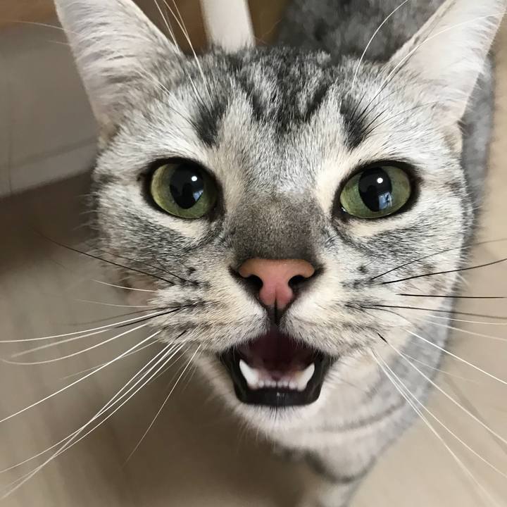 07989ddc 1c53 495f 9bc5 7d0b0e3701dc 1517643596073