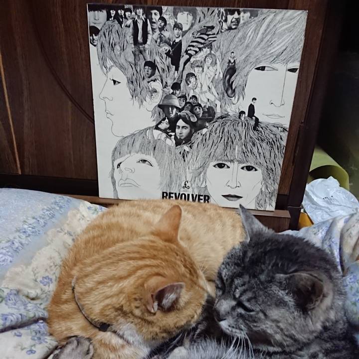 07989e33 c763 4471 84eb 37c04e2502e3 1589546028971