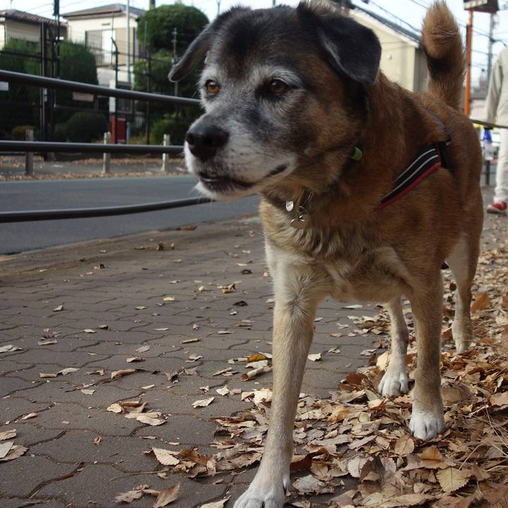 0798bcef fd27 4259 823d e18cff20b4df 1544489198291