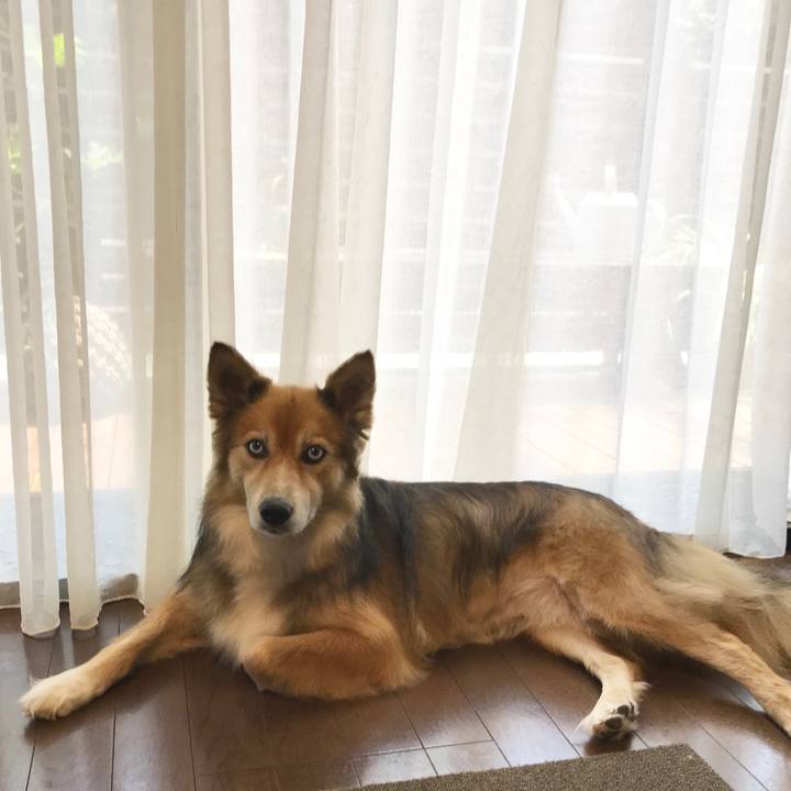 0798cd7d fc04 4bc9 b57b 5581ecc33db4 1533872763215