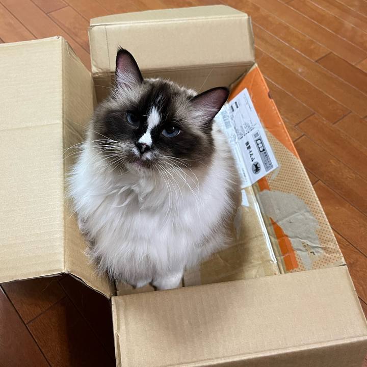 0798d00a 611f 48c8 aa24 60a4fe67be38 1731213722781