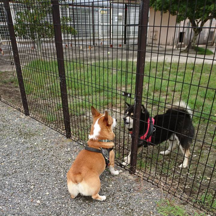 0798d139 0088 4058 b786 d48113ab845f 1632031872296