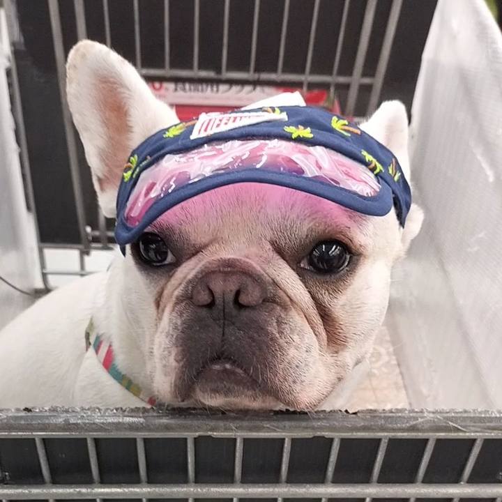 0798eb24 df78 4756 aac4 172de246b58f 1688253704536