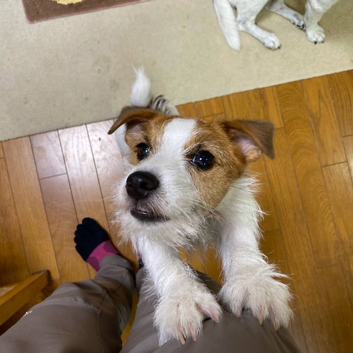 07991bda 2cdc 4418 ad60 6b7cbdcb0c5a 1656667865470