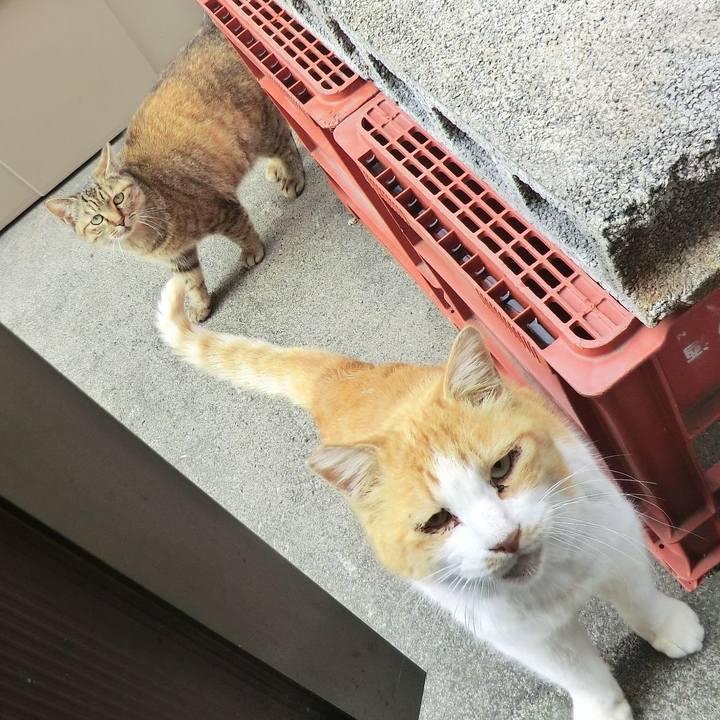 079929cd fb00 47bf a1c7 dc162be7f049 1550754930163