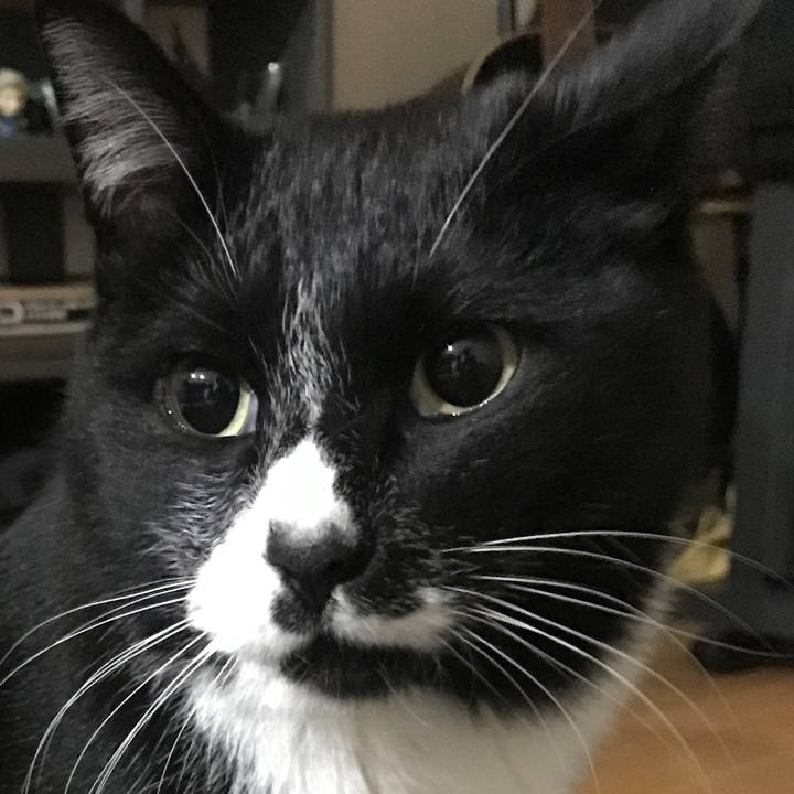 07994640 306b 49de a5ac 9aeca0f42779 1675481729776