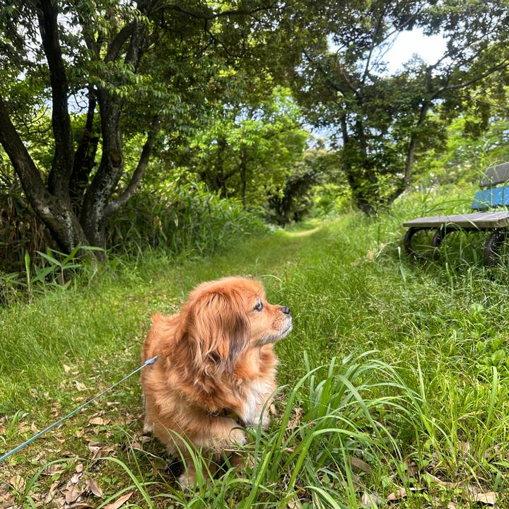 079952b0 a51e 46d9 9e50 f005ed376cbc 1716325864706