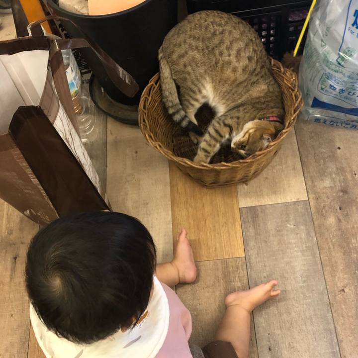 07996516 19eb 4309 bdda a236ccaa48f9 1617589720377