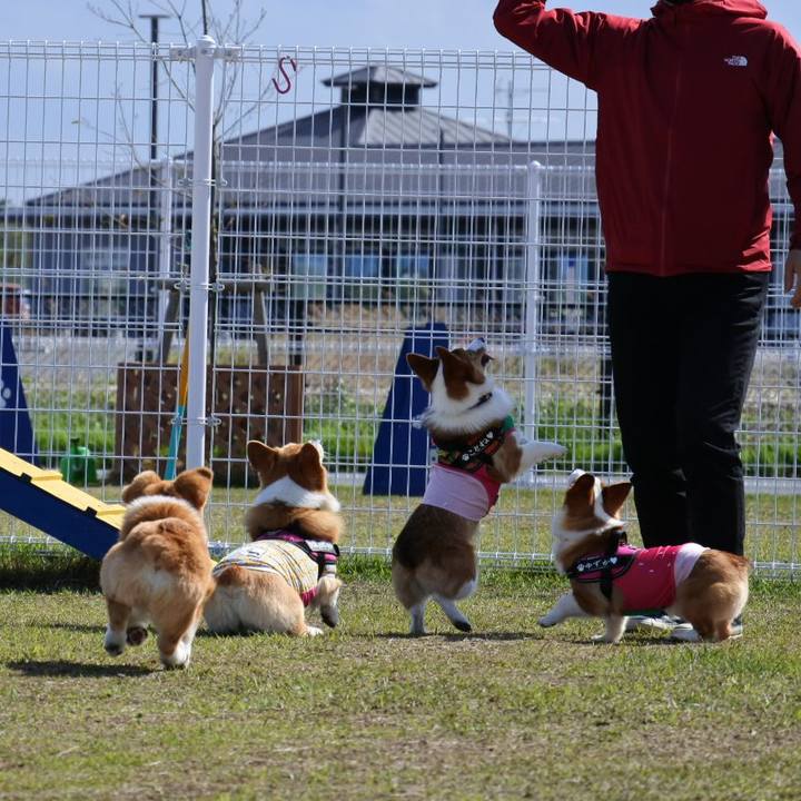 0799b1a4 12ab 4f0f a56c 359ea3ed0c14 1620124409010