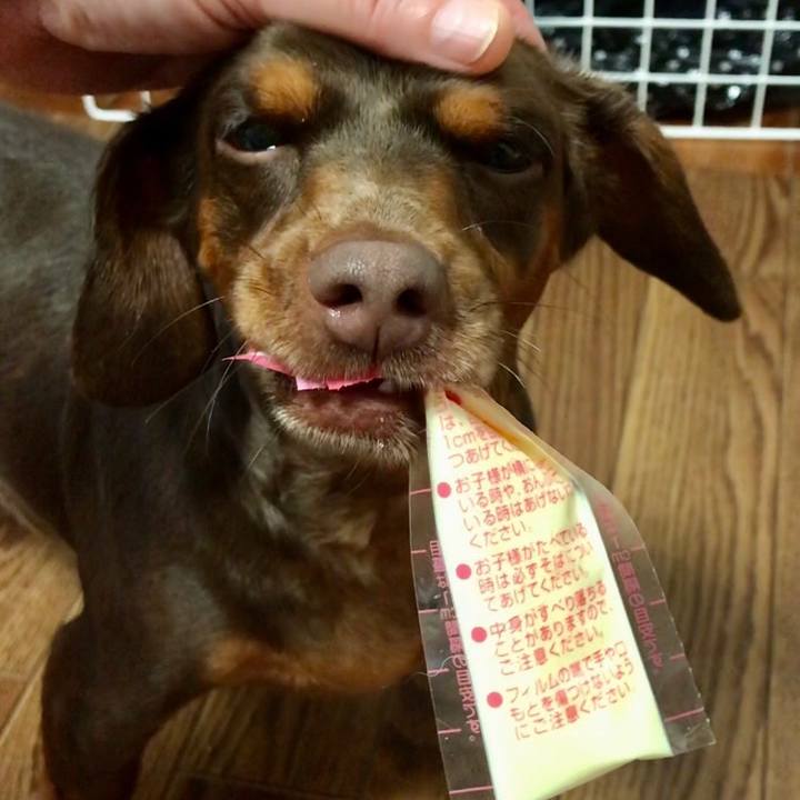 0799b4c9 46d4 429b 8cd1 84ce00599511 1581249351027