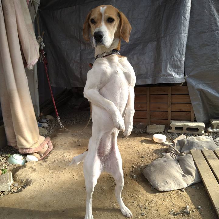 0799b76f fbeb 4f13 8612 30a2a314a3bf 1643361984518