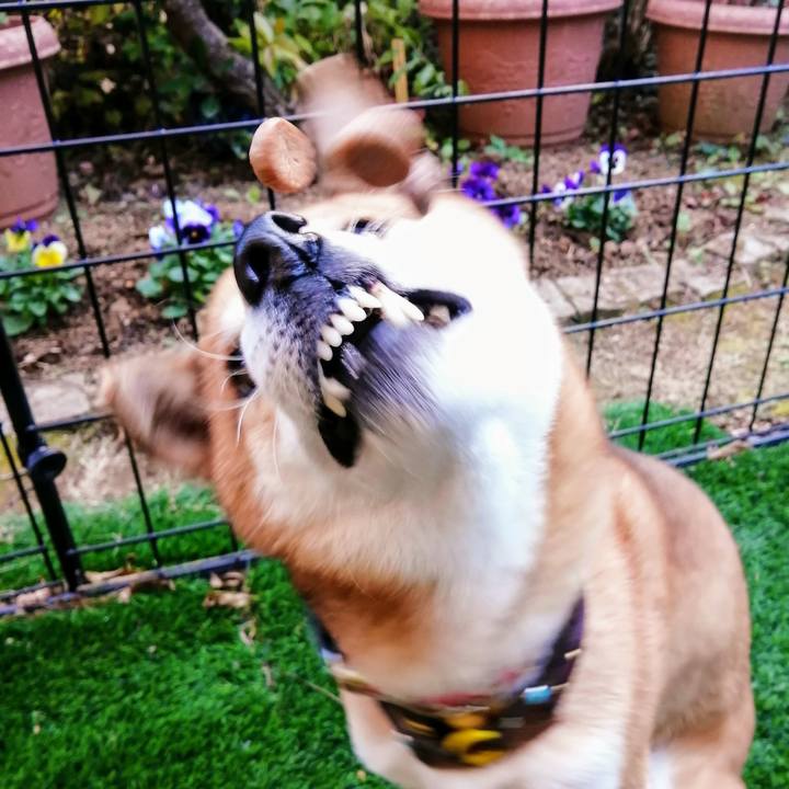 079a8283 c771 4143 8f7c 5506080a57dc 1606717378431