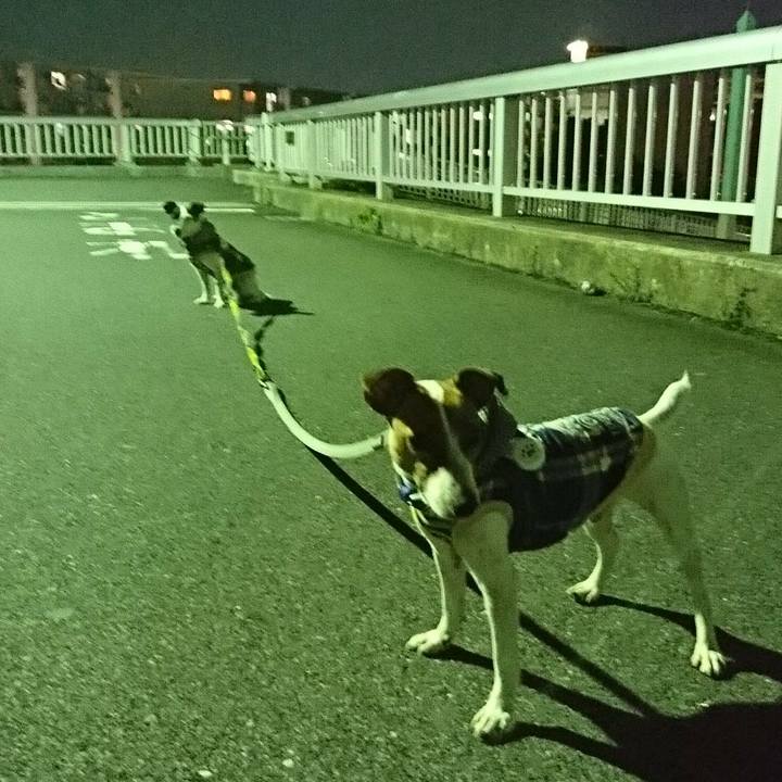 079a91c7 4cda 4a95 afb8 b47e6f6e35c7 1534676789915