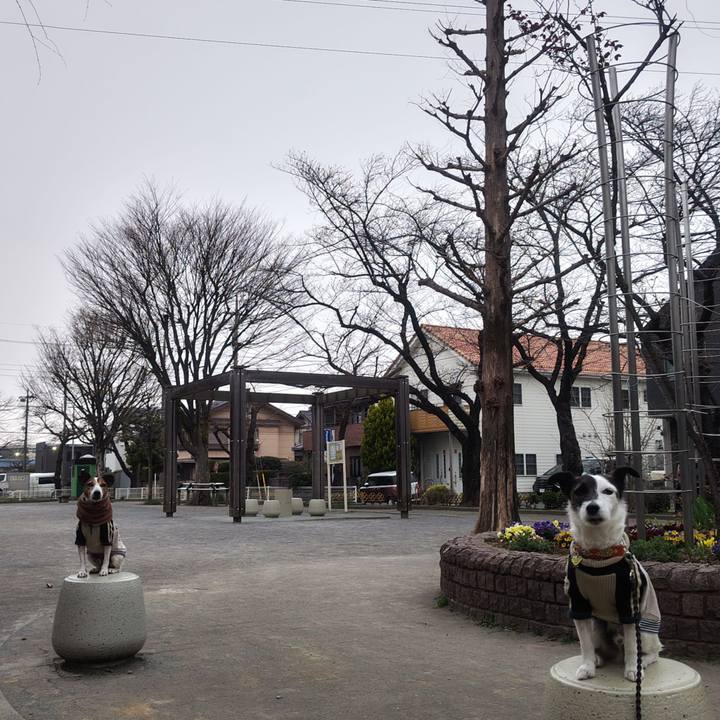 079aadd0 7b47 4698 9b6a 73ecf90df085 1773872520837