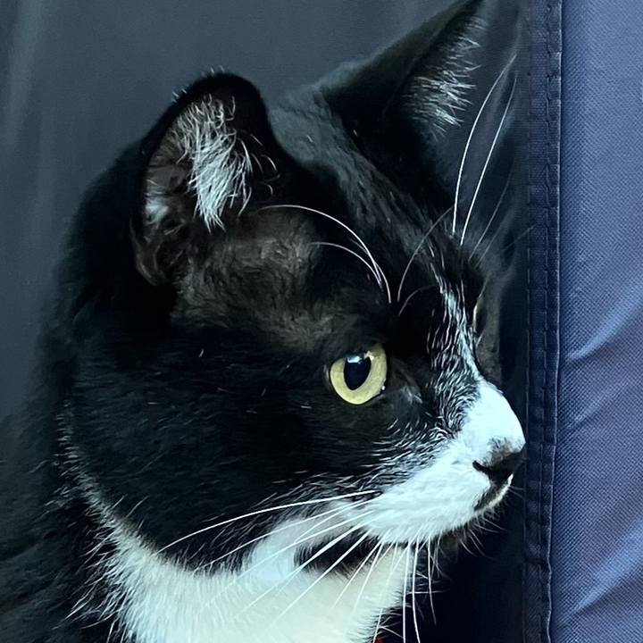 079ac90f 98ed 4d2c 8b72 218fd0a41fc9 1742636831900