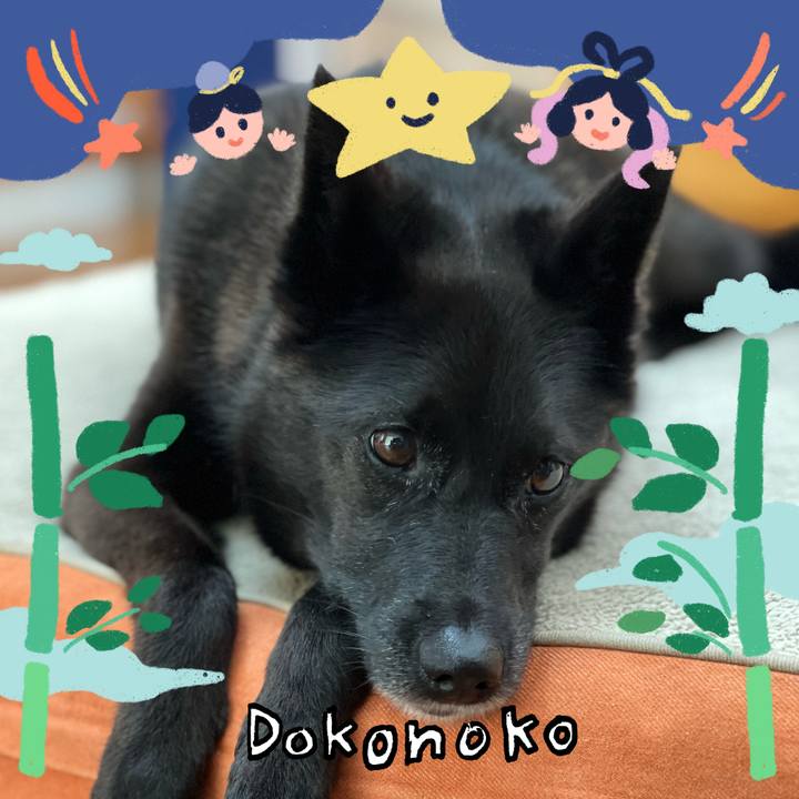 079b3147 fb9f 4ac4 ab9f c2d6583a5d98 1720912679886