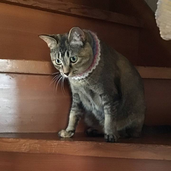 079b4885 e04d 400d 829f ddbe3a4b9710 1626042842884