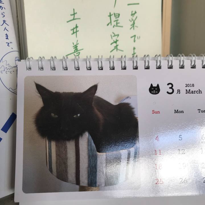 079b72c2 dcdd 4d81 a970 d0bad99d23fc 1521007001847