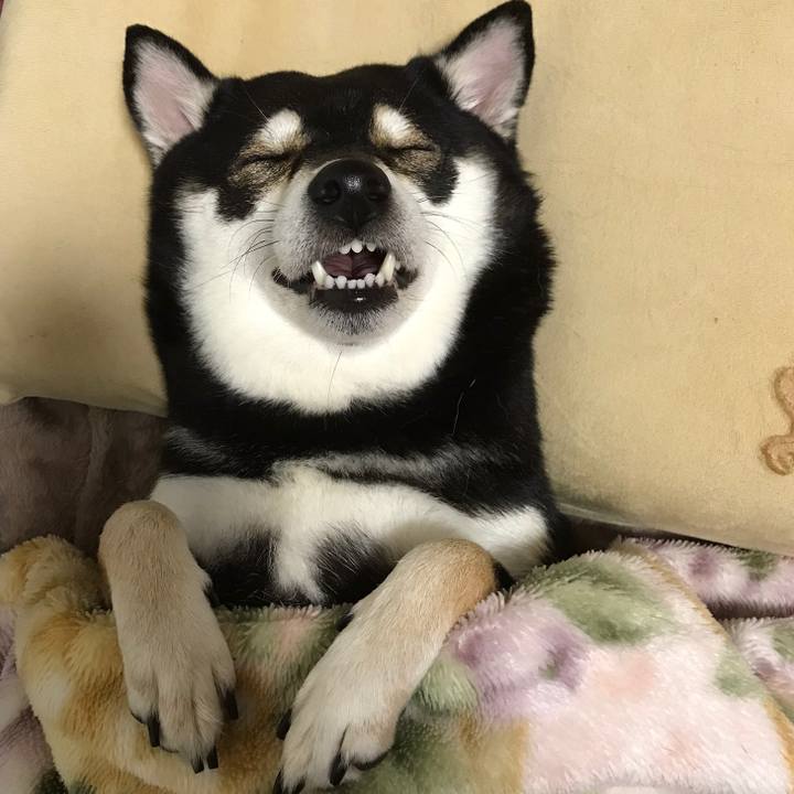 079b7a50 cc06 4bc7 af49 ae396a56480a 1513263785468