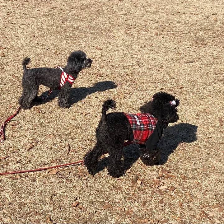 079b9e79 3bfc 4c2d b9e7 8f1e797758d8 1611287592627