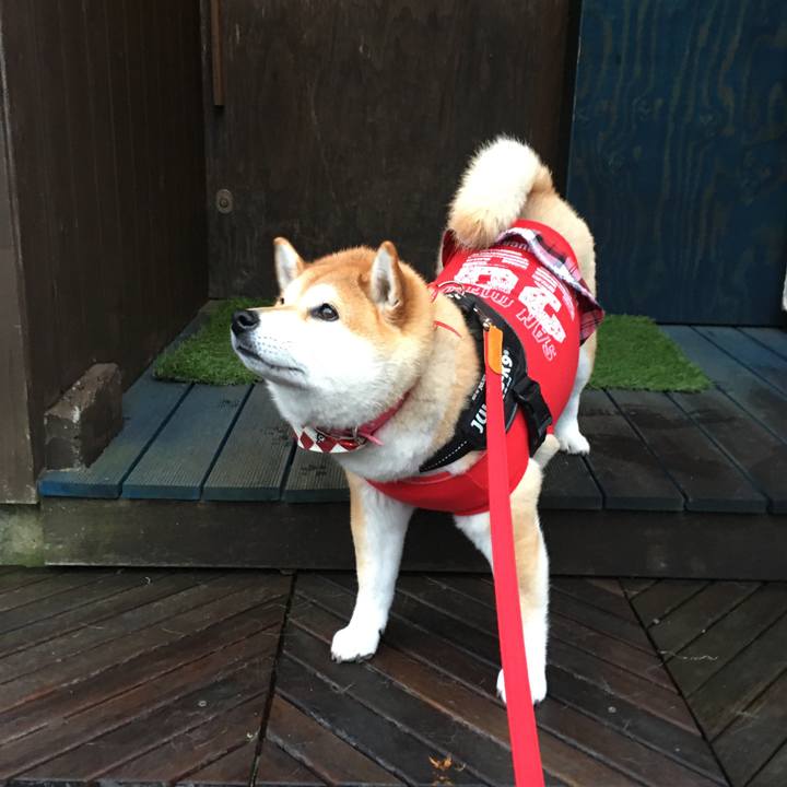 079bbe25 25af 4709 9932 199e161a0dff 1575727579762