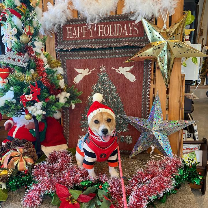 079bdbb8 f4ec 4034 8e12 750a99c46133 1608767458718