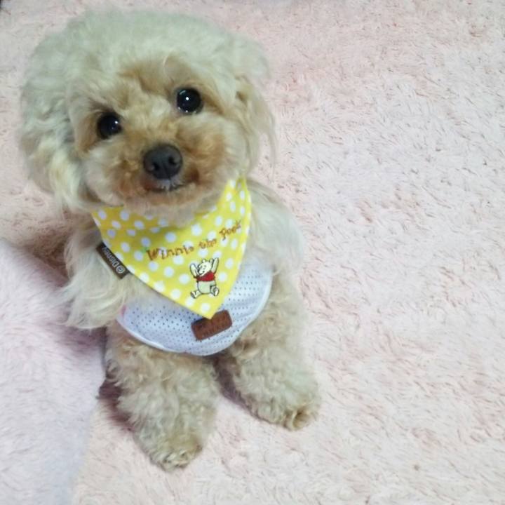 079c80b2 f2eb 4be4 858b 11acbda278b8 1558182032996