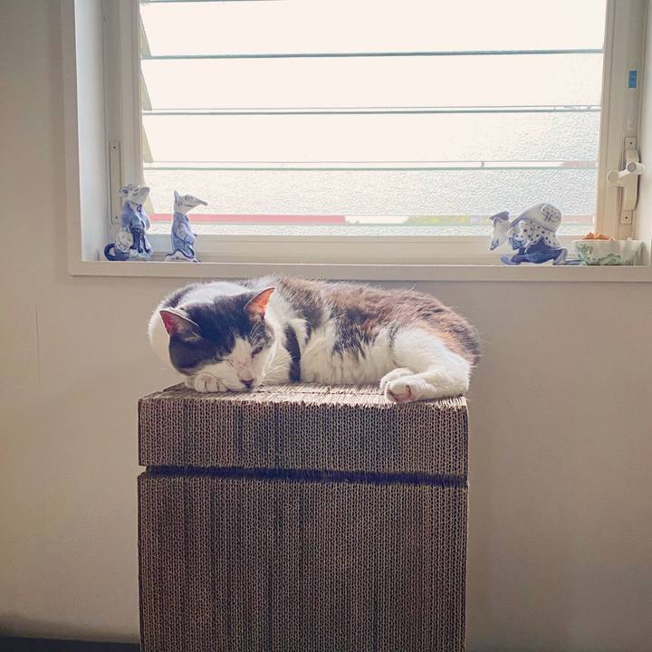 079ca65a ec73 4662 8e27 a511f36ab875 1595581998691