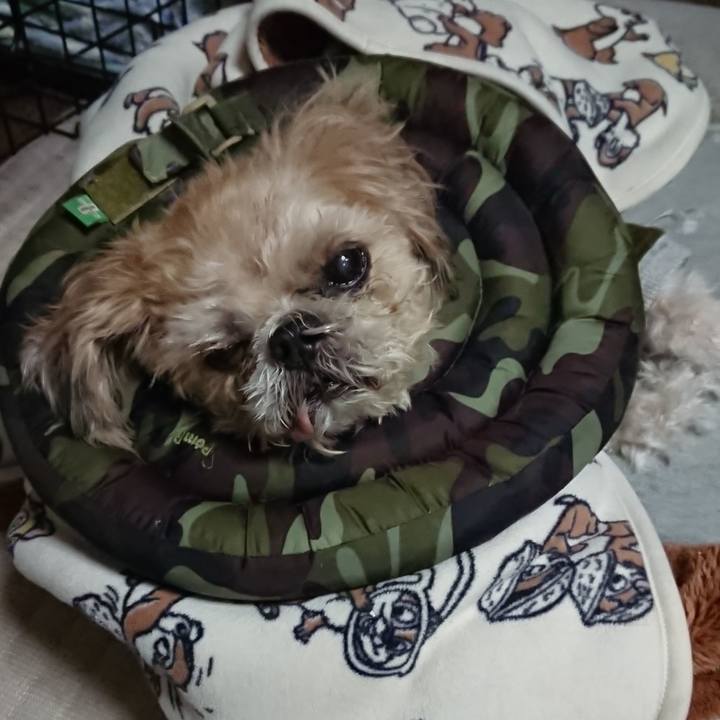 079cbf54 c0e1 41cc b47e 9c0728a1d7c7 1543984545781