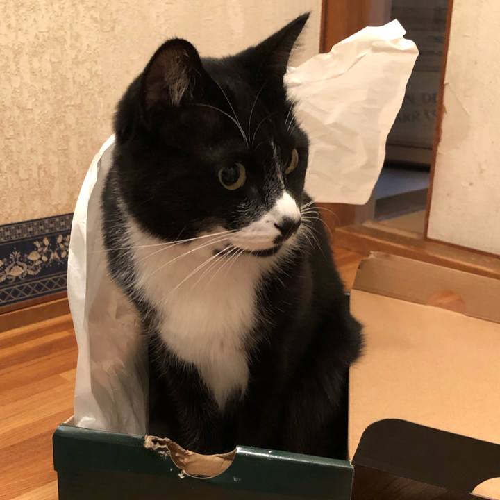 079cc2c5 3353 4ff2 8430 7f45913a264b 1637120288813