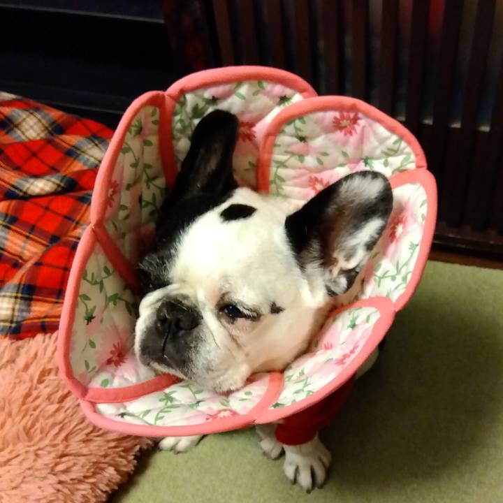 079cebba 4be1 425b a6cc bfe95aca78c9 1701294059289