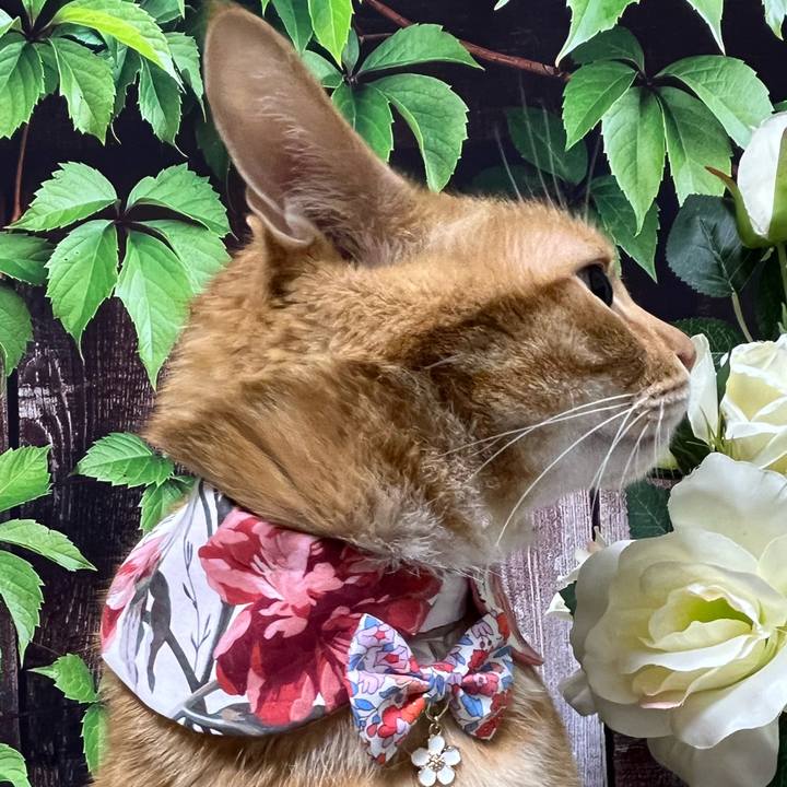 079cf264 9499 4fa5 80bd b3ef76408698 1749003622549