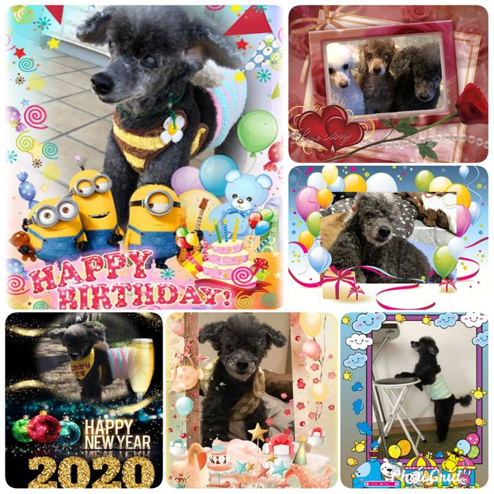 079d21a0 17df 4448 bb74 1fe3cc7660df 1578277857579