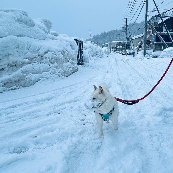 079d4790 cde5 4980 8082 43984cb0a790 1741213161515