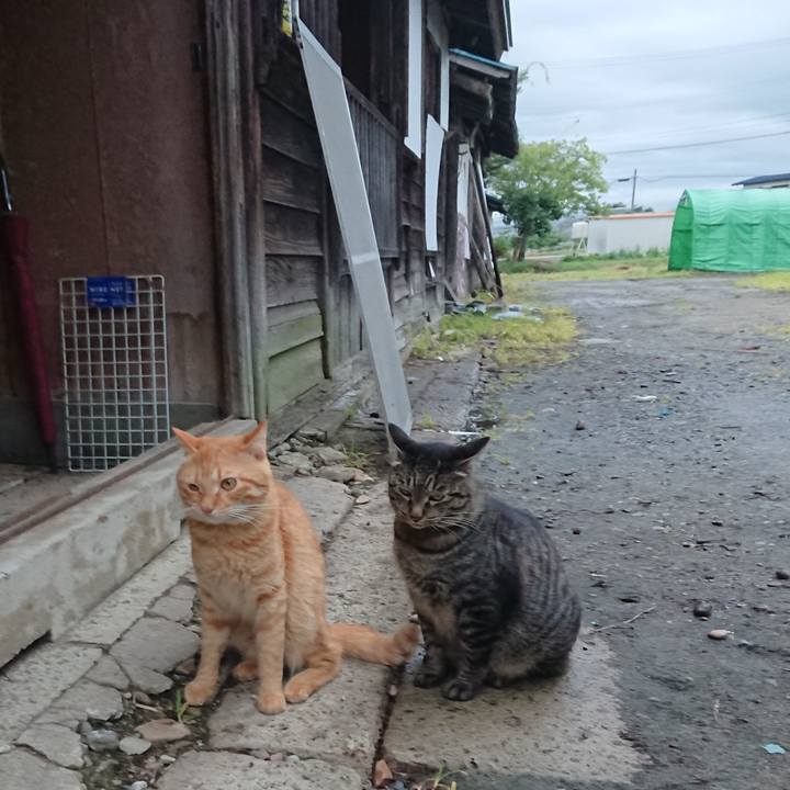 079d5d71 b0f4 43b7 9eda ad15ec183b95 1662024437521