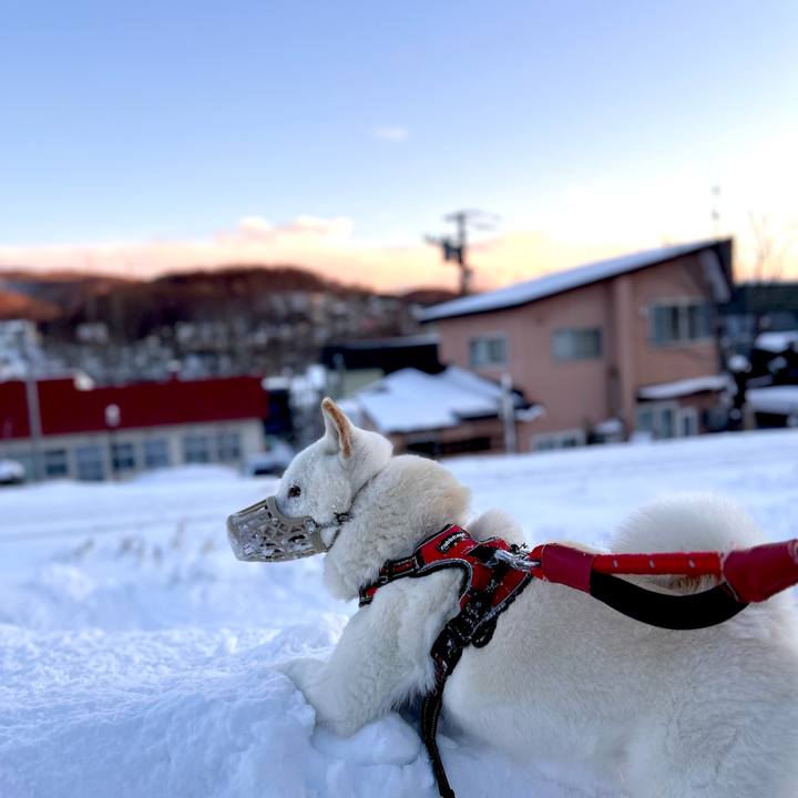 079d7540 af14 48fd aeb5 5120ac7d25c4 1703284631745