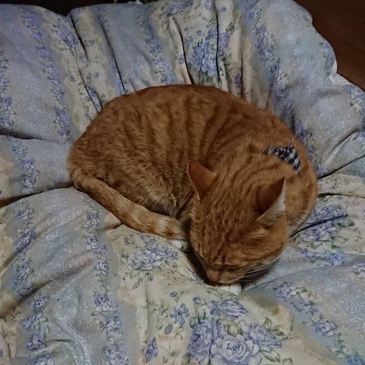 079d78e3 e967 44c1 a17e 10199c9b7cb0 1575461164042