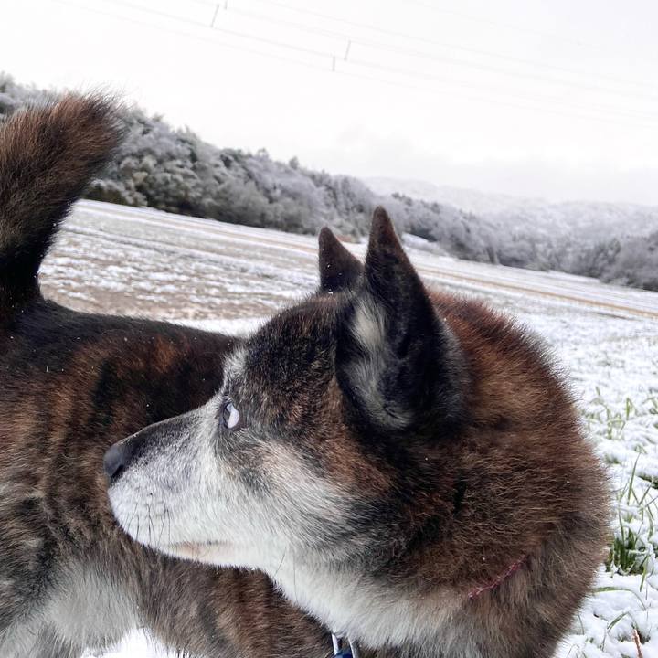 079d8553 8689 4d9c 9292 54d43e110900 1703129566298