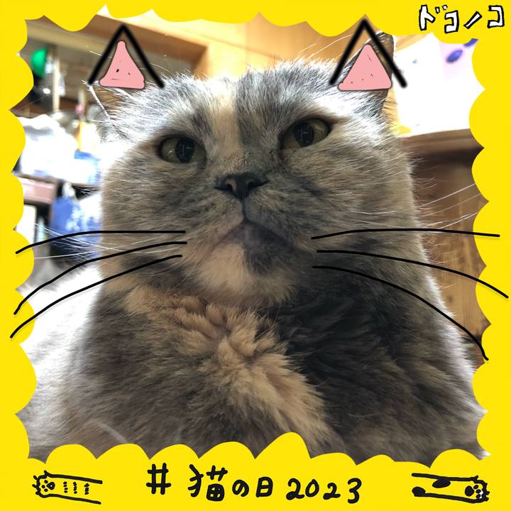 079d893a 8412 4602 9680 1c9af5adced8 1677075760436