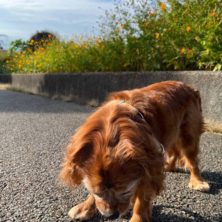 079dba84 ff9f 41f2 8f47 5589cda64b5a 1759368909636