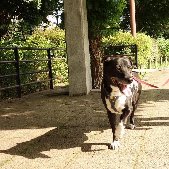 079dc1e1 76eb 410f 91d1 b01ce688a2bb 1717031425764