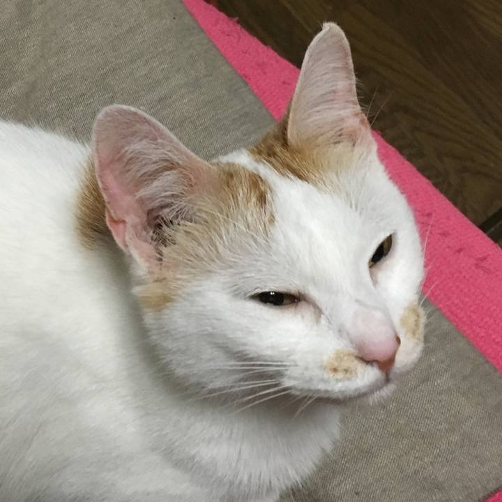 079e04b5 61b2 42cf a549 d7608edea9c5 1594561009060