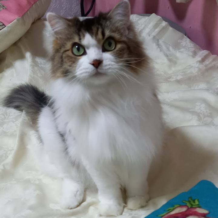 079e56ec f32f 4a1d bec3 e0d2eacf532e 1663247225670