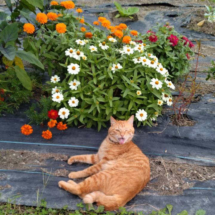 079e5ce7 4b45 48a3 a130 9c07c53d27f3 1664349288205